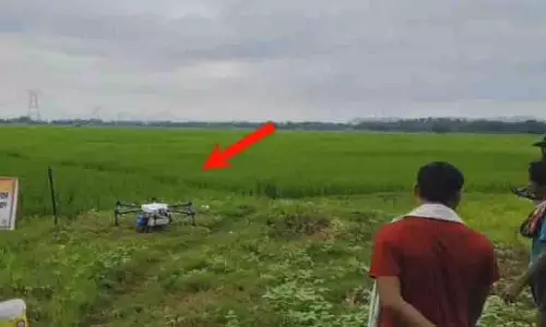 Odisha: नयागढ़ में ड्रोन से हो रहा कीटनाशक छिड़काव Odisha: नयागढ़ में ड्रोन से हो रहा कीटनाशक छिड़काव