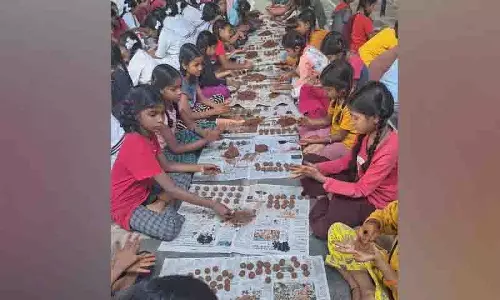 तेलंगाना में 10 लाख सीड बॉल तैयार, NGOs ने निभाई अहम भूमिका