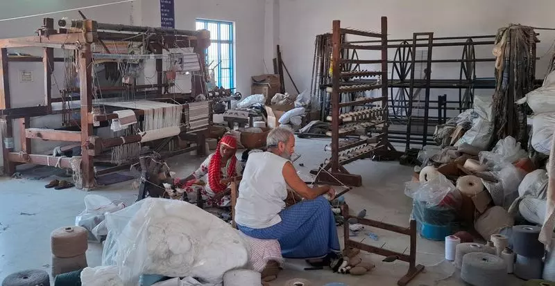 Haryana : ट्रम्प के 50% टैरिफ से टेक्सटाइल सिटी पानीपत का निर्यात घटेगा Haryana : ट्रम्प के 50% टैरिफ से टेक्सटाइल सिटी पानीपत का निर्यात घटेगा