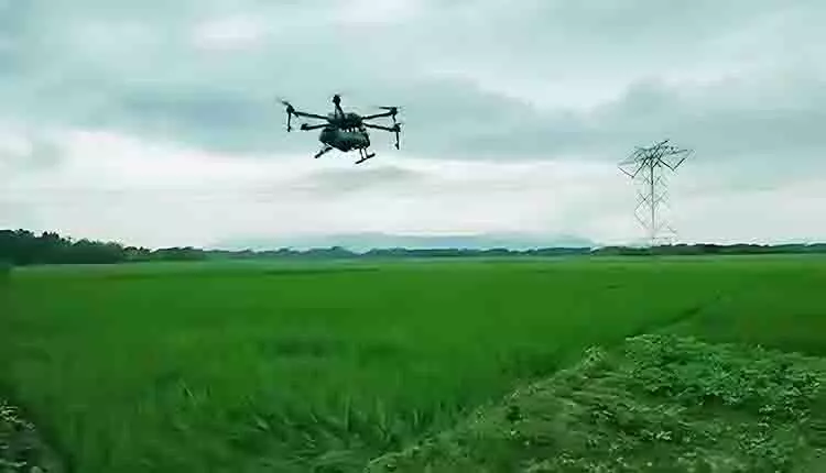 Nayagarh के किसान धान के खेतों में कीट नियंत्रण के लिए ड्रोन का इस्तेमाल कर रहे Nayagarh के किसान धान के खेतों में कीट नियंत्रण के लिए ड्रोन का इस्तेमाल कर रहे