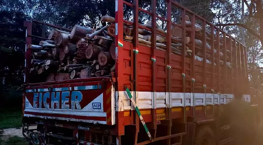 Srinivasapura : पेड़ काटने के आरोपी के खिलाफ एफआईआर दर्ज Srinivasapura : पेड़ काटने के आरोपी के खिलाफ एफआईआर दर्ज
