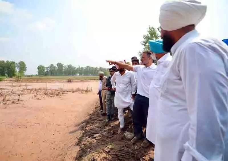 बाढ़ प्रभावित सीमावर्ती गांव का दौरा करने से रोके जाने पर राहुल गांधी ने Punjab पुलिस से की बहस बाढ़ प्रभावित सीमावर्ती गांव का दौरा करने से रोके जाने पर राहुल गांधी ने Punjab पुलिस से की बहस
