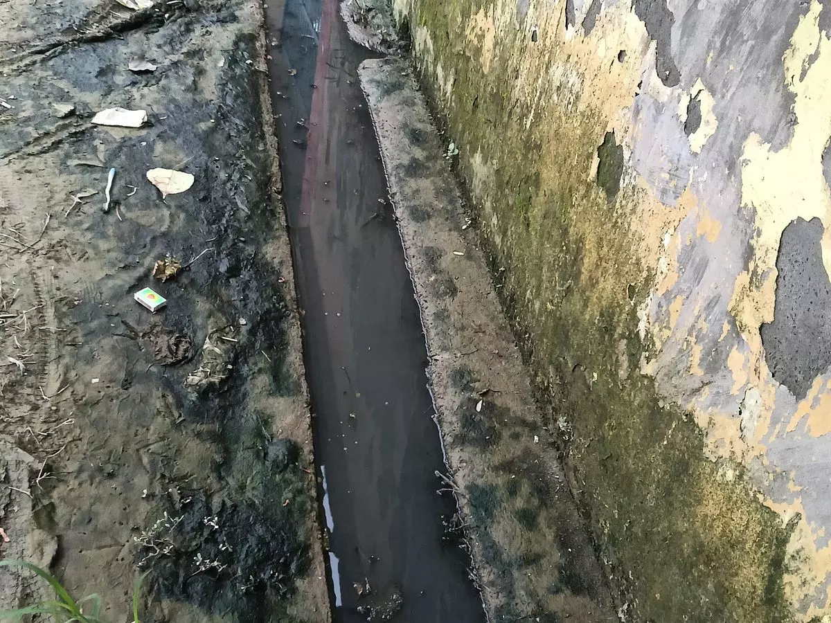 Farrukhabad: नालियों की सफाई न होने से जलभराव गहराया Farrukhabad: नालियों की सफाई न होने से जलभराव गहराया