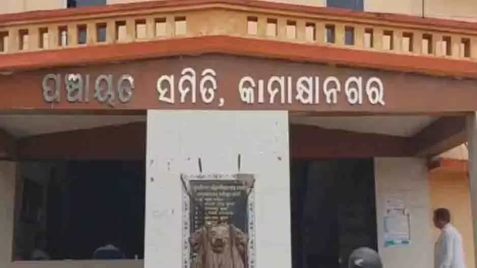 कई कौवे मृत पाए जाने के बाद Dhenkanal में बर्ड फ्लू का डर फैल गया कई कौवे मृत पाए जाने के बाद Dhenkanal में बर्ड फ्लू का डर फैल गया