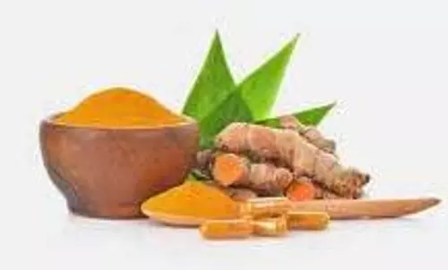 Health: खाली पेट हल्दी के पत्ते खाने से मिलते हैं अद्भुत स्वास्थ्य लाभ Health: खाली पेट हल्दी के पत्ते खाने से मिलते हैं अद्भुत स्वास्थ्य लाभ