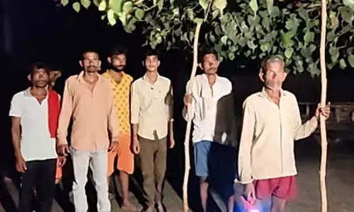 एक सप्ताह से जंगली जानवर का आतंक, दहशत में ग्रामीण, तीन महीने की बच्ची की मौत