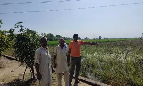 Rohtak के निवासियों को पेयजल की कमी का सामना करना पड़ रहा Rohtak के निवासियों को पेयजल की कमी का सामना करना पड़ रहा