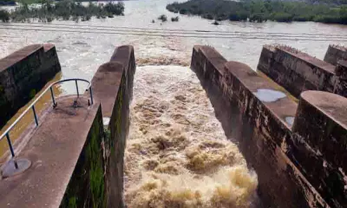 Himachal में ताजा बारिश के बाद पौंग बांध का जलस्तर 2 फीट बढ़ा, खतरे के निशान से ऊपर