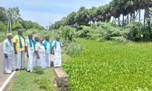 Tamil Nadu सरकार ने डेल्टा नहरों से जलकुंभी हटाने के लिए 18 करोड़ रुपये मंजूर किए Tamil Nadu सरकार ने डेल्टा नहरों से जलकुंभी हटाने के लिए 18 करोड़ रुपये मंजूर किए