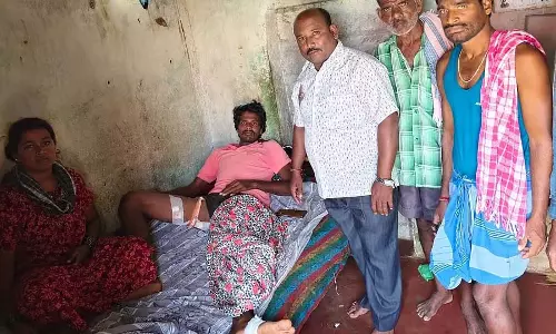 Doddaballapura : पेड़ पर चढ़ने के बावजूद भालू ने किसान पर हमला किया