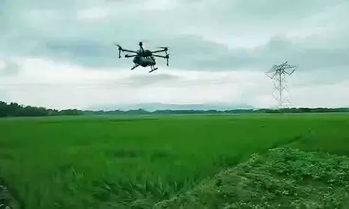 Nayagarh के किसान धान के खेतों में कीट नियंत्रण के लिए ड्रोन का इस्तेमाल कर रहे Nayagarh के किसान धान के खेतों में कीट नियंत्रण के लिए ड्रोन का इस्तेमाल कर रहे