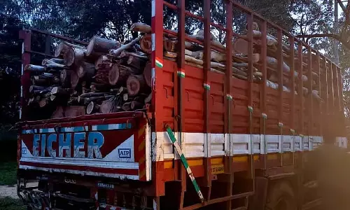 Srinivasapura : पेड़ काटने के आरोपी के खिलाफ एफआईआर दर्ज Srinivasapura : पेड़ काटने के आरोपी के खिलाफ एफआईआर दर्ज