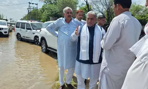 कृष्ण लाल पंवार कहते हैं, 66,000 किसानों ने 38.5 लाख एकड़ में फसल के नुकसान की सूचना दी कृष्ण लाल पंवार कहते हैं, 66,000 किसानों ने 38.5 लाख एकड़ में फसल के नुकसान की सूचना दी