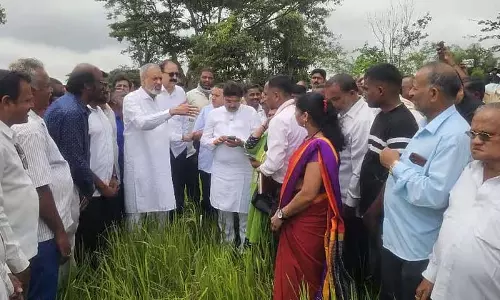 फसल क्षति का सर्वेक्षण कराकर किसानों को मुआवजा वितरित करें: MP Kageri