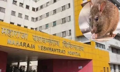 Indore: एमवायएच ‘चूहा कांड’ में नया मोड़