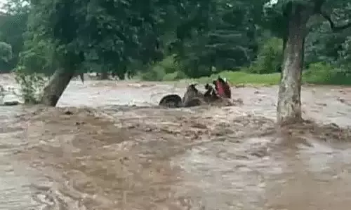 नाले में आई बाढ़, 7 मजदूर बहे