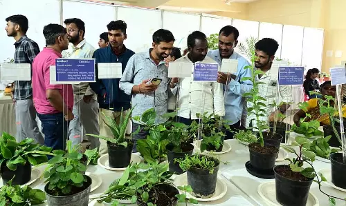 Hubli : बागवानी विभाग द्वारा आयुर्वेदिक पौधों की प्रदर्शनी Hubli : बागवानी विभाग द्वारा आयुर्वेदिक पौधों की प्रदर्शनी