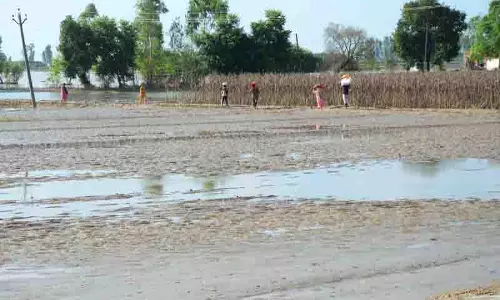 Kapurthala के किसान ने की आत्महत्या की कोशिश, 16 एकड़ फसल बर्बाद Kapurthala के किसान ने की आत्महत्या की कोशिश, 16 एकड़ फसल बर्बाद