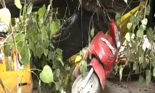लखनऊ के Kaiserbagh में मछली बाजार के पास पेड़ गिरने से एक की मौत, चार घायल लखनऊ के Kaiserbagh में मछली बाजार के पास पेड़ गिरने से एक की मौत, चार घायल