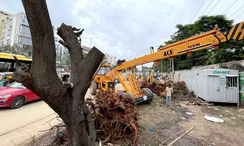 Hyderabad में ग्राउंड स्टाफ द्वारा बेरहमी से काटे गए पेड़, काटे नहीं गए Hyderabad में ग्राउंड स्टाफ द्वारा बेरहमी से काटे गए पेड़, काटे नहीं गए