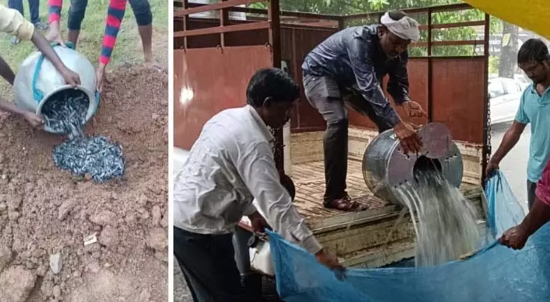 Jabalpur : रेलवे स्टेशन पर मत्स्य विभाग ने 8 हजार अवैध थाईलैंड कैटफ़िश ज़ब्त की Jabalpur : रेलवे स्टेशन पर मत्स्य विभाग ने 8 हजार अवैध थाईलैंड कैटफ़िश ज़ब्त की
