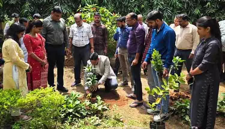 Odisha में प्रधानमंत्री के 75वें जन्मदिन के उपलक्ष्य में दोपहर तक 32.85 लाख पौधे लगाए गए Odisha में प्रधानमंत्री के 75वें जन्मदिन के उपलक्ष्य में दोपहर तक 32.85 लाख पौधे लगाए गए