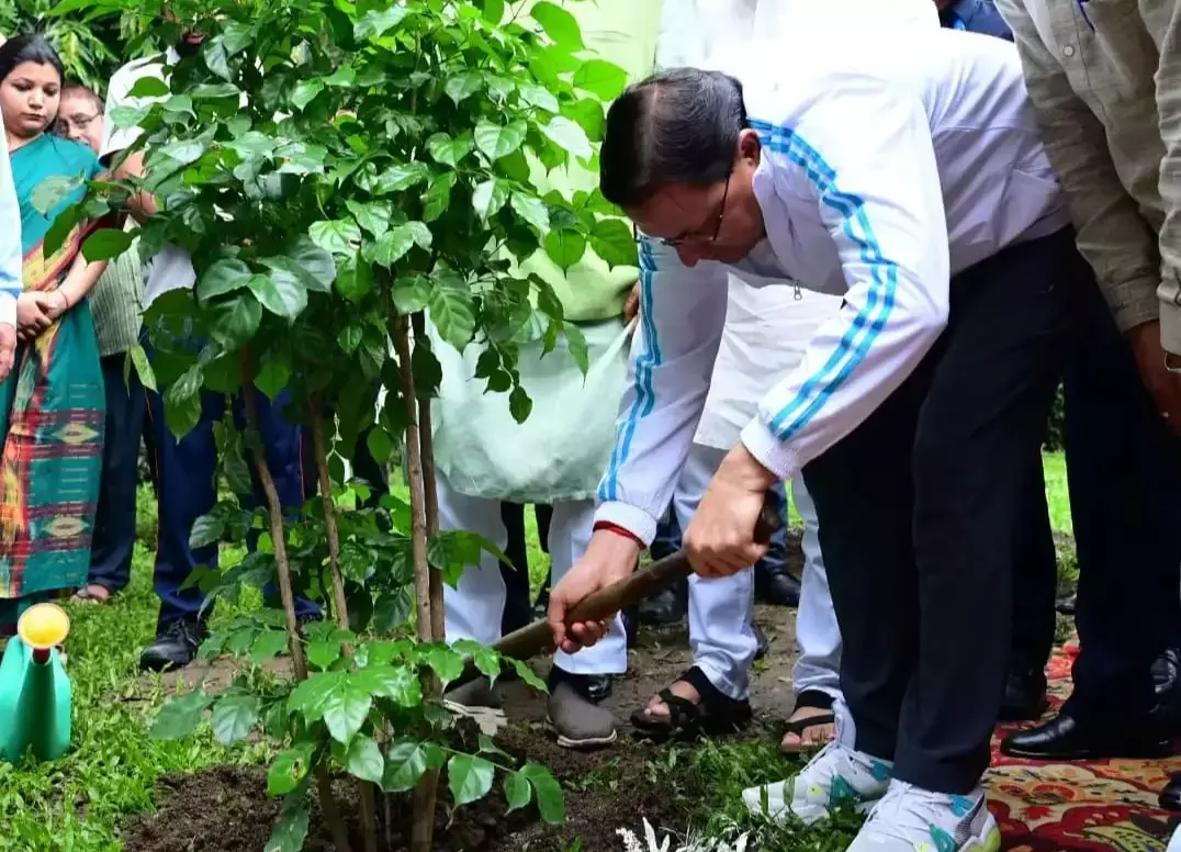 Dehradun: स्वच्छ उत्सव-2025 की शुरुआत, सीएम ने दिए संदेश Dehradun: स्वच्छ उत्सव-2025 की शुरुआत, सीएम ने दिए संदेश