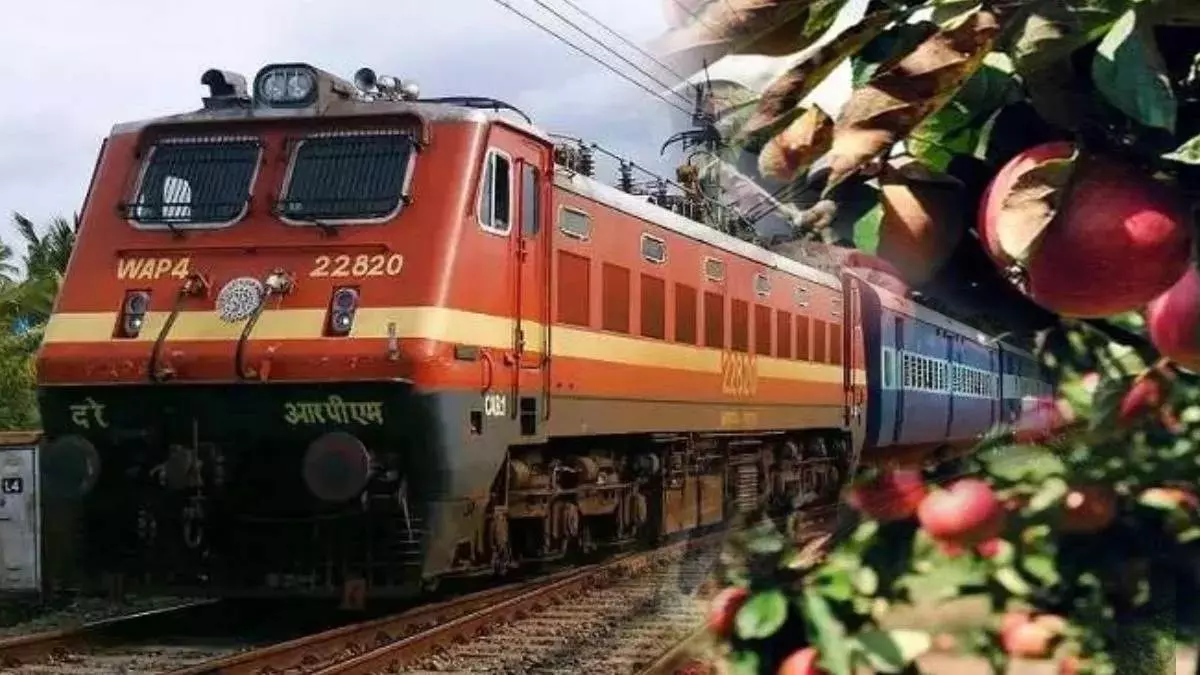 Srinagar: कश्मीर सेब की खेप रेलवे से बाहरी मंडियों में Srinagar: कश्मीर सेब की खेप रेलवे से बाहरी मंडियों में