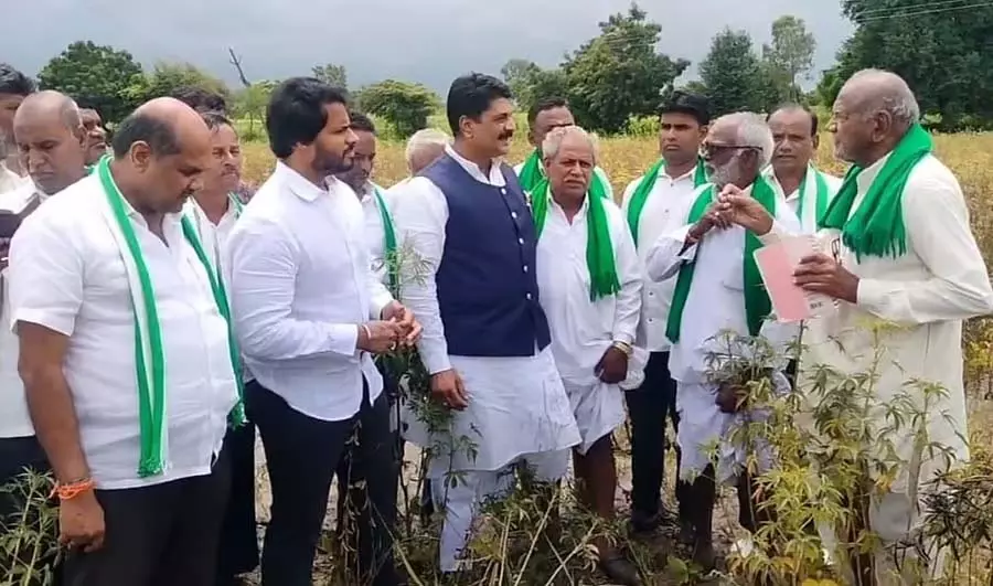 सरकार किसानों की समस्या पर ध्यान नहीं दे रही: निखिल कुमारस्वामी सरकार किसानों की समस्या पर ध्यान नहीं दे रही: निखिल कुमारस्वामी