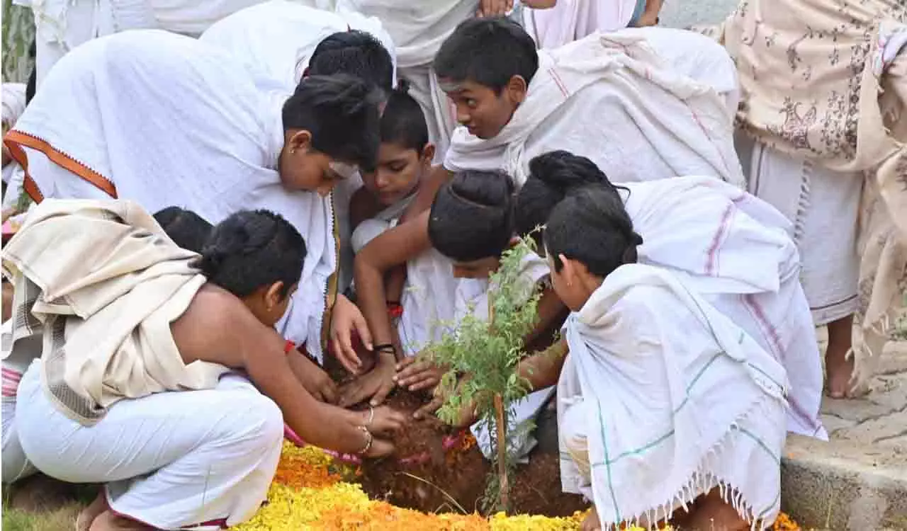 Telangana में ग्रीन इंडिया चैलेंज के तहत बड़े पैमाने पर जम्मी वृक्षारोपण किया जाएगा Telangana में ग्रीन इंडिया चैलेंज के तहत बड़े पैमाने पर जम्मी वृक्षारोपण किया जाएगा