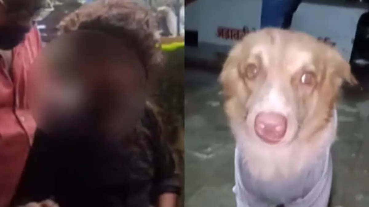 मीरा रोड में एक आवारा कुत्ते पर बेरहमी से हमला करने के आरोप में चार रेस्टोरेंट कर्मचारी गिरफ्तार मीरा रोड में एक आवारा कुत्ते पर बेरहमी से हमला करने के आरोप में चार रेस्टोरेंट कर्मचारी गिरफ्तार