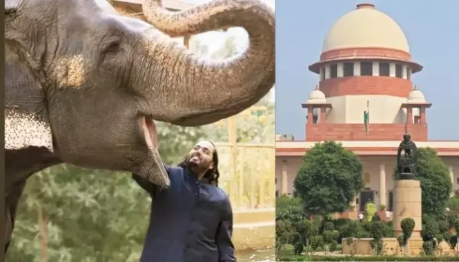 सुप्रीम कोर्ट द्वारा अनुमोदित एसआईटी रिपोर्ट में वंतारा के पशु आयात में कोई गड़बड़ी नहीं पाई गई सुप्रीम कोर्ट द्वारा अनुमोदित एसआईटी रिपोर्ट में वंतारा के पशु आयात में कोई गड़बड़ी नहीं पाई गई