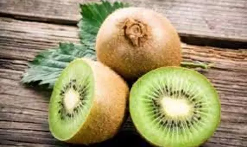 Kiwi : जानें इसके फायदे और एक दिन में कितना कीवी खाना चाहिए Kiwi : जानें इसके फायदे और एक दिन में कितना कीवी खाना चाहिए