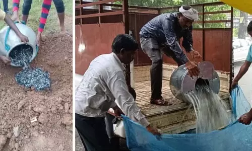 Jabalpur : रेलवे स्टेशन पर मत्स्य विभाग ने 8 हजार अवैध थाईलैंड कैटफ़िश ज़ब्त की Jabalpur : रेलवे स्टेशन पर मत्स्य विभाग ने 8 हजार अवैध थाईलैंड कैटफ़िश ज़ब्त की