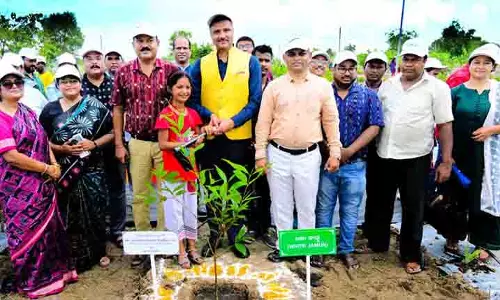 Odisha कृषि विभाग ने 2.3 मिलियन फलों के पौधे लगाने का काम शुरू किया