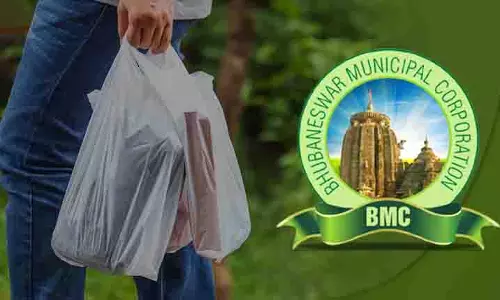 Go Green: बीएमसी ने नागरिकों से दुर्गा पूजा के दौरान पॉलीथीन बैग का उपयोग न करने की अपील की