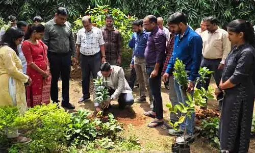 Odisha में प्रधानमंत्री के 75वें जन्मदिन के उपलक्ष्य में दोपहर तक 32.85 लाख पौधे लगाए गए