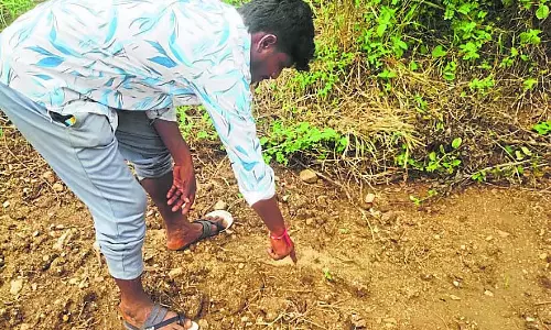 Karnataka : गुरुमाथकल में फिर दिखा तेंदुआ