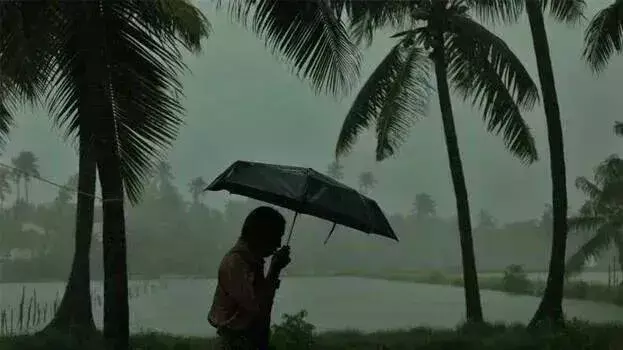 Kerala: राज्य में बारिश तेज; पांच जिलों में येलो अलर्ट, मछुआरों को चेतावनी Kerala: राज्य में बारिश तेज; पांच जिलों में येलो अलर्ट, मछुआरों को चेतावनी