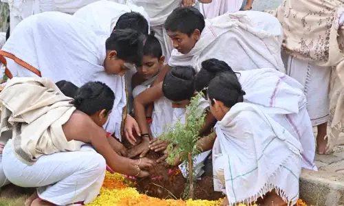 Telangana में ग्रीन इंडिया चैलेंज के तहत बड़े पैमाने पर जम्मी वृक्षारोपण किया जाएगा