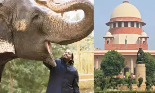 सुप्रीम कोर्ट द्वारा अनुमोदित एसआईटी रिपोर्ट में वंतारा के पशु आयात में कोई गड़बड़ी नहीं पाई गई