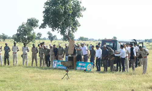 MP: मादा चीता धीरा को गांधी सागर वन्यजीव अभयारण्य में किया गया स्थानांतरित MP: मादा चीता धीरा को गांधी सागर वन्यजीव अभयारण्य में किया गया स्थानांतरित