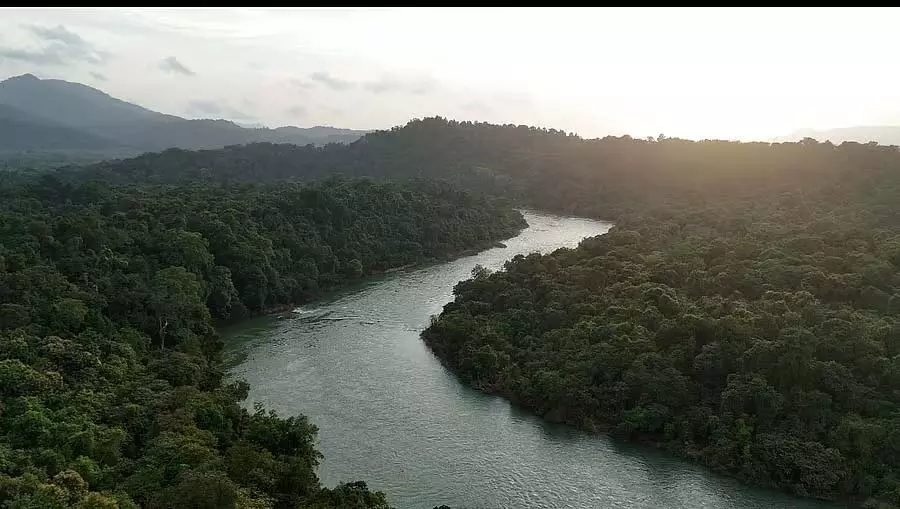 शरावती घाटी तक सुरंग: अभयारण्य में ही एक खतरनाक परियोजना शरावती घाटी तक सुरंग: अभयारण्य में ही एक खतरनाक परियोजना