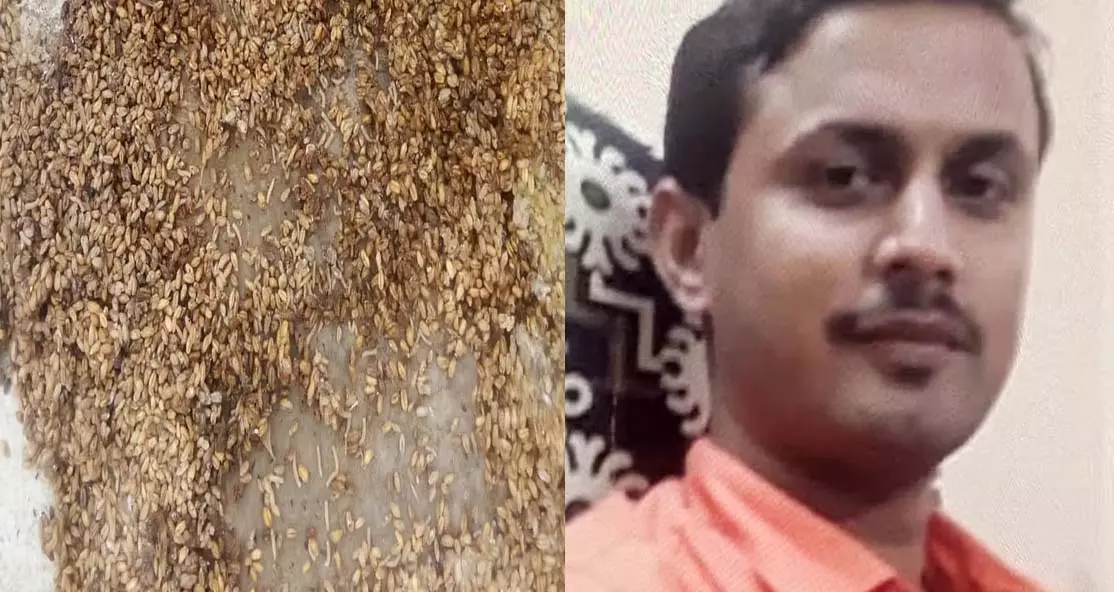 गेहूं को मिट्टी में ढककर लापरवाही बरतने के आरोप में हॉस्टल वार्डन निलंबित गेहूं को मिट्टी में ढककर लापरवाही बरतने के आरोप में हॉस्टल वार्डन निलंबित