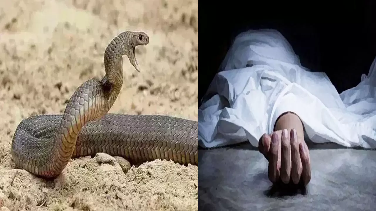 Farrukhabad: सर्पदंश से हुई युवक की मृत्यु, गांव में शोक की लहर Farrukhabad: सर्पदंश से हुई युवक की मृत्यु, गांव में शोक की लहर