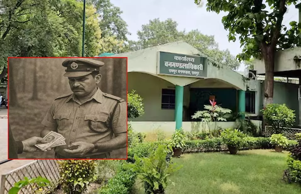 भ्रष्ट्र वन विभाग DFO की काली करतूत, छत्तीसगढ़ के मूल निवासी को नौकरी से कर रहे वंचित भ्रष्ट्र वन विभाग DFO की काली करतूत, छत्तीसगढ़ के मूल निवासी को नौकरी से कर रहे वंचित