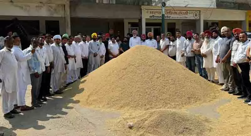Kapurthala में 8.20 लाख मीट्रिक टन धान खरीदने का लक्ष्य Kapurthala में 8.20 लाख मीट्रिक टन धान खरीदने का लक्ष्य