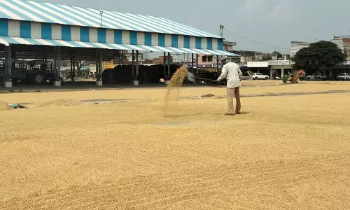 Haryana : अंबाला में धान की आवक शुरू, किसान खरीद का इंतजार कर रहे हैं
