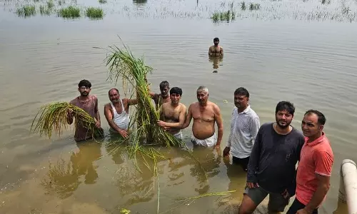 Haryana : सोनीपत के किसानों ने जलमग्न खेतों में विरोध प्रदर्शन किया Haryana : सोनीपत के किसानों ने जलमग्न खेतों में विरोध प्रदर्शन किया