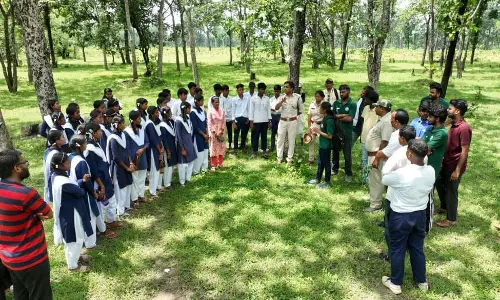 सेवा पर्व के अवसर पर जल-जंगल यात्रा का आयोजन सेवा पर्व के अवसर पर जल-जंगल यात्रा का आयोजन